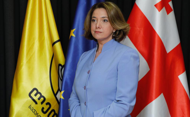 "არ გამოვრიცხავ, ხელისუფლება მესამე სექტორს ძალისმიერი მეთოდებით გაუსწორდეს''- სალომე სამადაშვილი