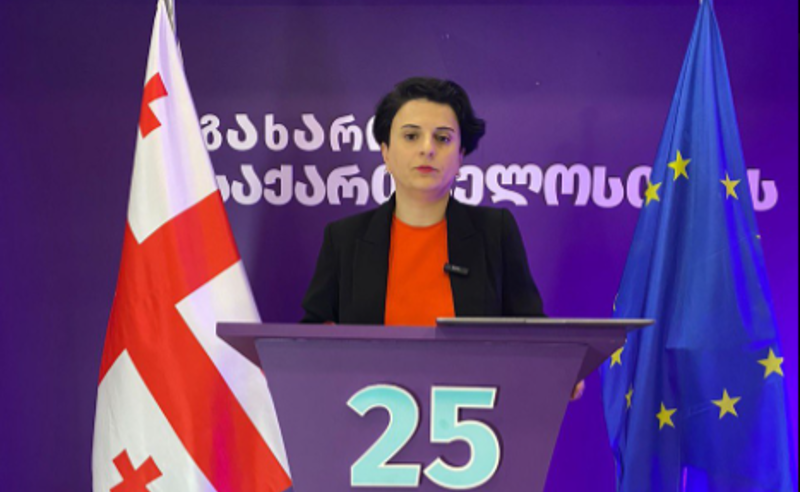 გახარიას გუნდი: "ოცნების" პარტიულმა ზონდერ-აქტივმა ჩვენი საარჩევნო კამპანიის ჩაშლა სცადა