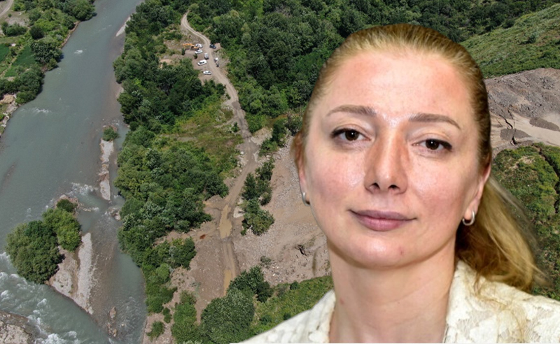  ან ვერ აზროვნებ ამას რომ აკეთებ, უცოდინარი ხარ, ან ბოროტი - გოდოლაძე ვაშლიჯვარზე