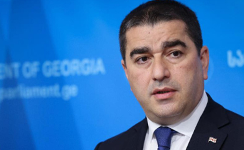 პაპუაშვილი საერთაშორისო დონორებს არასამთავრობოებზე ზეწოლაში ადანაშაულებს - მტკიცებულებები არ არის