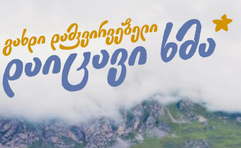 ჩემი ხმა ევროკავშირს - კიდევ ერთი გაერთიანება, რომელიც გადამწყვეტ არჩევნებზე ხმებს დაიცავს