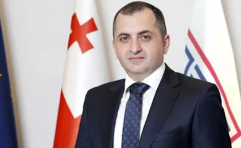 კობახიძემ სამხარაულის ექსპერტიზის ბიუროს უფროსი თანამდებობიდან გაუშვა