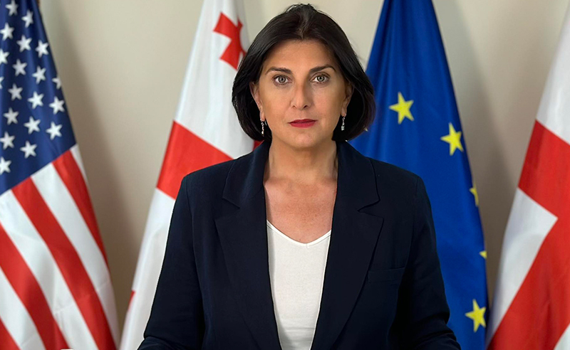 ნახევარი მილიონი "ოცნებას" - თამარ კორძაიას თქმით, შემოწირულებებით ანტიკორუფციული უნდა დაინტერესდეს