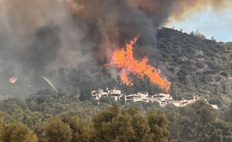 თურქეთის პროვინციებში მეხანძრეები ტყის ხანძარს ებრძვიან