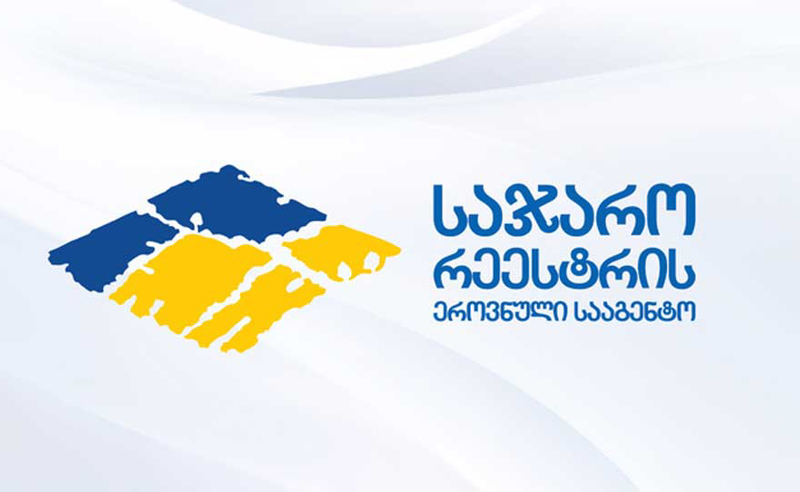 "რატი ბრეგაძე ჩვენი პრობლემით არ დაინტერესდა" - საჯარო რეესტრიდან გათავისუფლებული თანამშრომელი რეპრესიებზე ალაპარაკდა