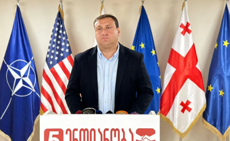 მნიშვნელოვანია, "ოცნების" მავნებლური პოლიტიკა ერთიანობით დავასრულოთ - ფარულავა