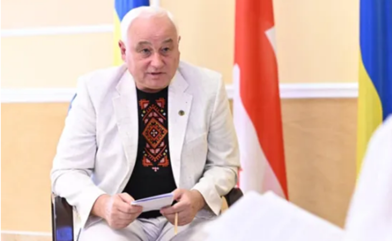 მზადდებოდა უკრაინის პრეზიდენტის ბრძანებულება ელჩის დანიშვნის შესახებ, თუმცა საქართველოს მაშინდელი პრემიერის მხრიდან გაუგებარი რიტორიკა წამოვიდა - ხარიშინი