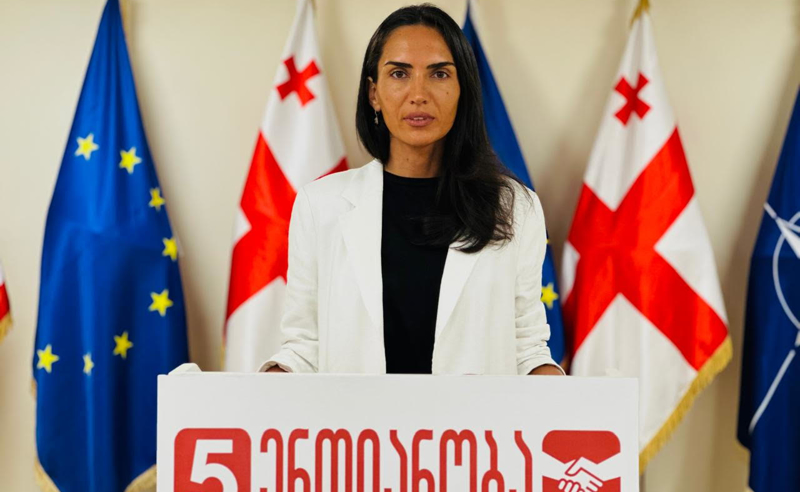 „ამ ქვეყანაში ჯანდაცვის სისტემა მოშლილია და ახლა, ამერიკასთან ურთიერთობის დანგრევით, "ოცნება“ მას სრული ფინანსური კრიზისით ემუქრება" - სოფო ჯაფარიძე