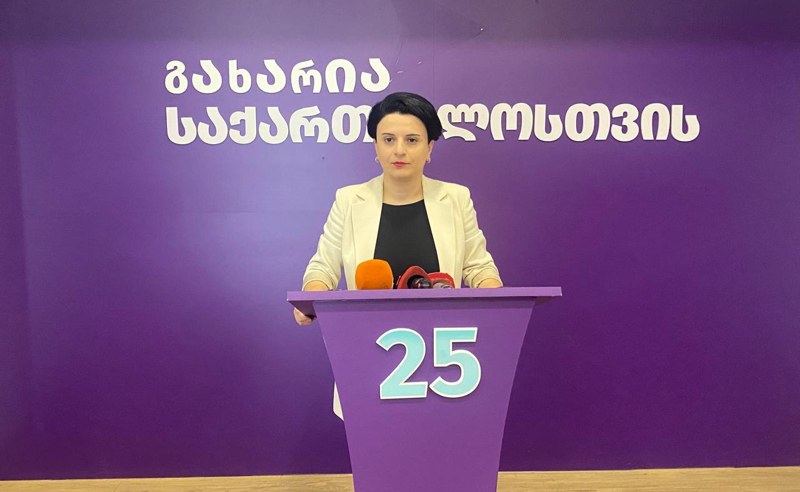 "გამოძიების დაწყებას არ აპირებენ" - რა უთხრეს მეზვრიშვილს გაბიტაშვილის უწყებაში