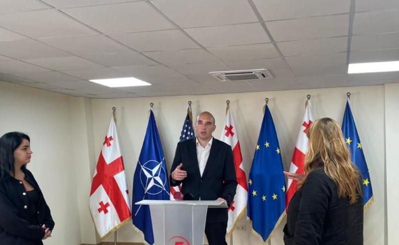 “ოცნება“ თავის დანაშაულებს არ გამოიძიებს და თავის თავს არ დასჯის, ეს რეჟიმი ზოგადად დგას ძალადობაზე - ფავლენიშვილი