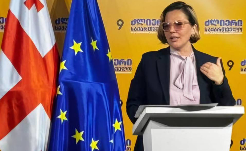"ოცნებას" არჩევნებზე მეხამრიდი სჭირდება და არ არის გასაკვირი, რომ ეს მეხამრიდი მოსკოვიდან მიაწოდონ - დოლიძე