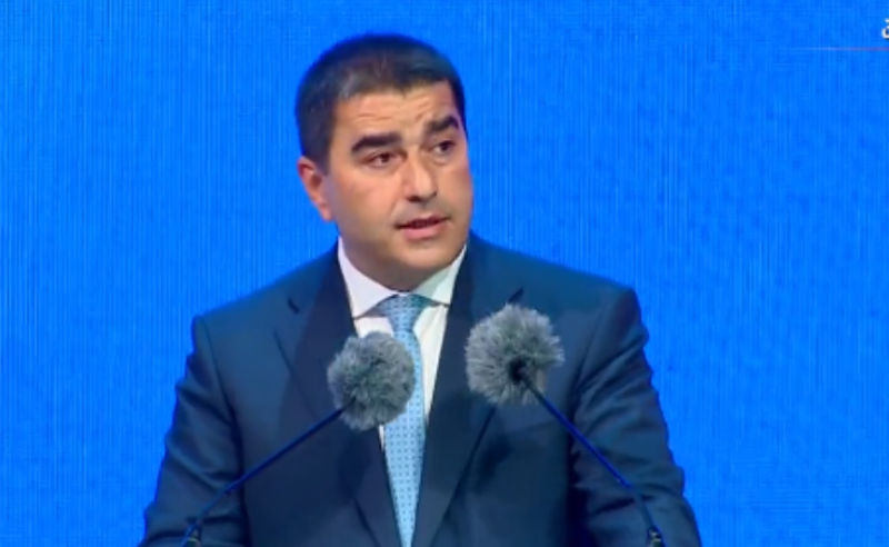  უსამშობლო ძალები ცეცხლზე ნავთს ასხამენ - შალვა პაპუაშვილი