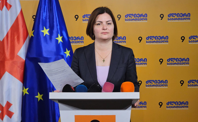 “როგორ მიატოვა “ოცნებამ“ “ევოლუშენის“ გაფიცული თანამშრომლები“ - ნაცვლიშვილი შრომის ინსპექციას უმოქმედობაში ადანაშაულებს