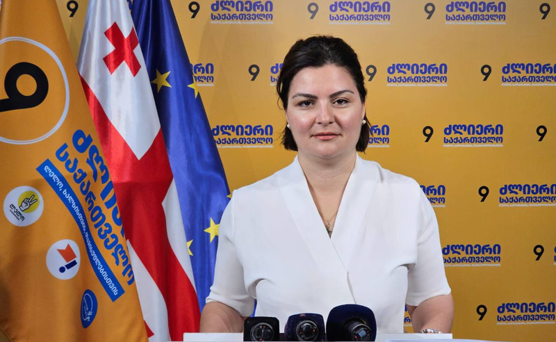 რუსი ოლიგარქის კორუმპირებული ხელისუფლების პირობებში ერთი წვიმაც კი ქვეყანაში გარდაუვალი პრობლემების წყაროა - ნაცვლიშვილი