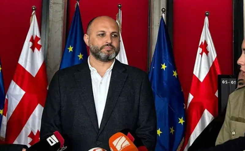 ნადირაძე: ხელისუფლებამ ქართული დიპლომატია დაასუსტა და დიპლომატიური სტრუქტურები ჩამოშალა - არჩევნების შემდგომ მთავარი ამოცანა ქართული დიპლომატიის გაძლიერება იქნება