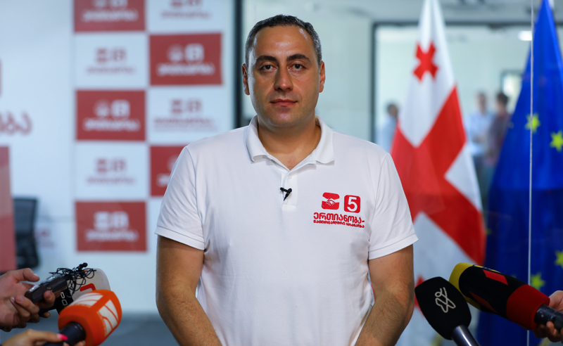 ოპოზიციური პარტიების გაუქმება დემოკრატიის დასრულებას ნიშნავს - ვაშაძე