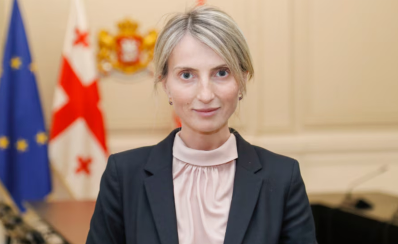 რეგისტრაციისთვის უკვე 233-მა ორგანიზაციამ მოგვმართა - იუსტიციის მინისტრის მოადგილე რუსულ კანონზე