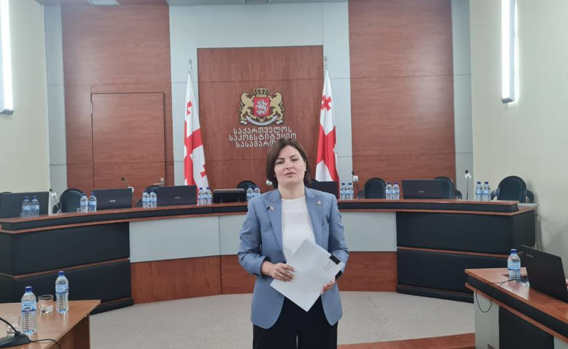“ეს არის საუკუნის პროცესი. როგორ გადაწყდება საქმე, ამას არჩევნებზე საბედისწერო გავლენა ექნება“ - ანა ნაცვლიშვილი