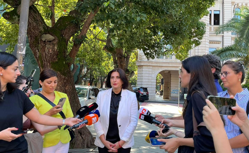 "დღეს მოპასუხე მხარეს, ჩვენი სპეციალისტი გააგებინებს, რომ უცხო ნამდვილად არის უცხო" - რუსული კანონის განხილვა დასკვნით ეტაპზეა 