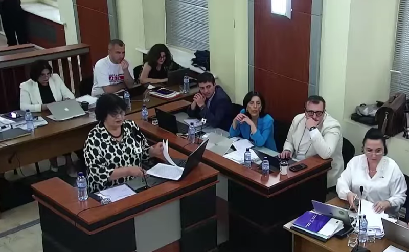 გამოყენებული საკვანძო ცნებები ცალსახად ნეგატიური კონოტაციისაა - ენათმეცნიერი