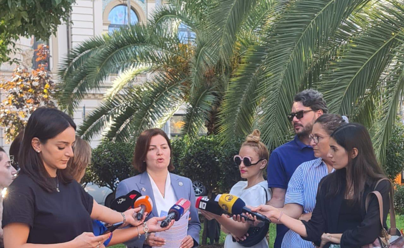 საკონსტიტუციოს, თავისი გადაწყვეტილებით, შეუძლია "ოცნების" მიერ გაჩერებულ ევროინტეგრაციის პროცესი აღადგინოს - ნაცვლიშვილი 