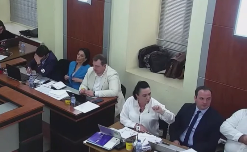 უცხო ქვეყნის გავლენას ატარებდით, როდესაც ადამიანის უფლებების დამცავ ორგანიზაციებში მუშაობდით? - ბესელია მანანა კობახიძეს