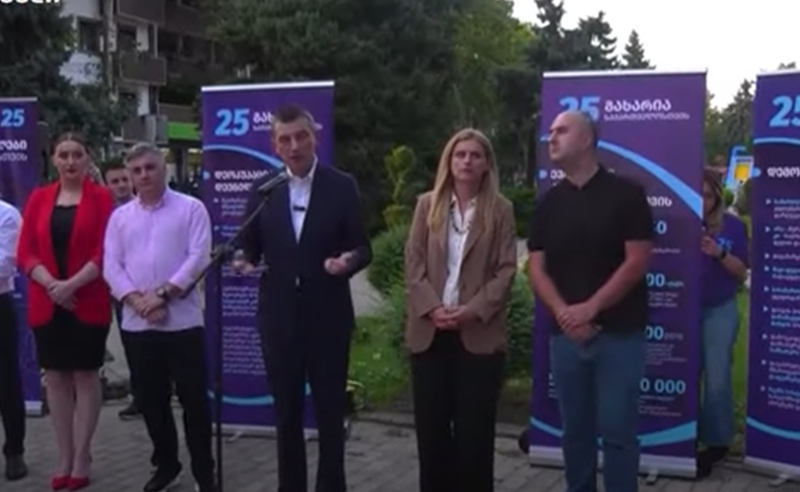 გიორგია გახარიას პარტიამ გორში რეგიონული ოფისი გახსნა