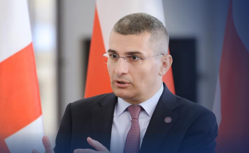 იურისტებმა, ყველა ადამიანს, რომლებიც კანონს რუსულს უწოდებდნენ, თავზე გადაახიეს სარჩელი - მდინარაძე
