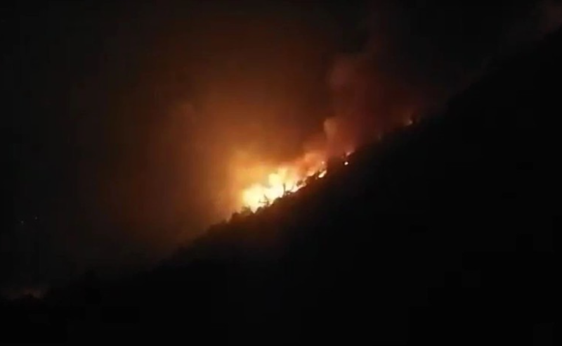 ბორჯომში, ახალდაბის ტყეში ხანძარია