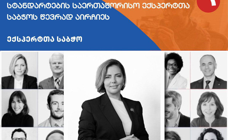 ანა დოლიძე მსოფლიოში პოლიტიკის სტანდარტების საერთაშორისო ექსპერტთა საბჭოს წევრად აირჩიეს 