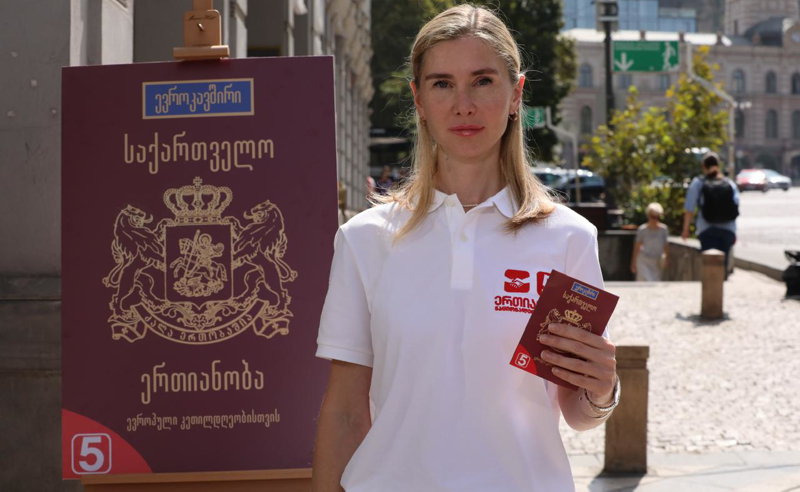 თინა ბოკუჩავა: ხელისუფლების ცვლილებისთანავე გავხსნით მოლაპარაკებებს ევროკავშირთან გაწევრიანებაზე