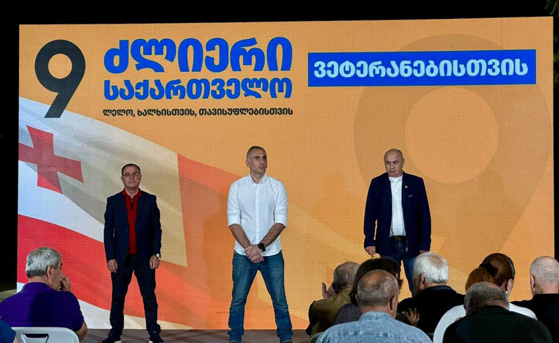 ვეტერანები უნდა გრძნობდნენ მადლიერებას სახელმწიფოსგან და საზოგადოებისგან - “ძლიერი საქართველოს“ ლიდერები ვეტერანებს შეხვდნენ