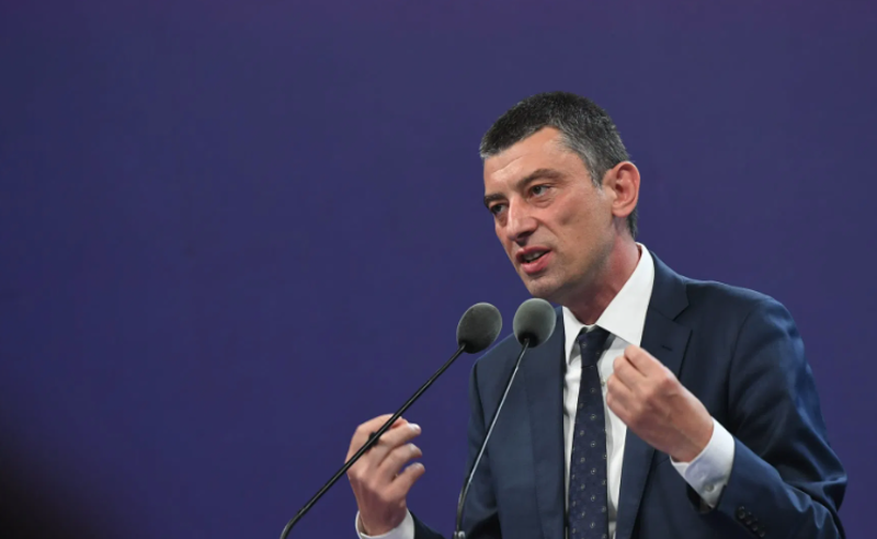 “ჩემი ხმები თუ იქნება გადამწყვეტი, მთავრობაშიც მე ვიქნები გადამწყვეტი, წერტილი“ - გახარია