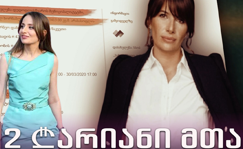 როგორ აღმოჩნდა არწივის ხეობის ტერიტორია ღარიბაშვილის ახლო მეგობრის ხელში? - რა კითხვები არსებობს