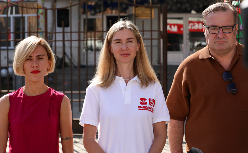 "26 ოქტომბრის შემდეგ ჩვენ შეგვიძლია დავასრულოთ ბავშვთა შიმშილი ამ ქვეყანაში“- ანა წითლიძე