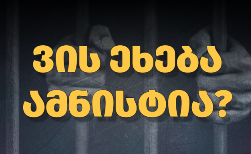 ვის შეეხება ამნისტია? - TI დოკუმენტს აქვეყნებს