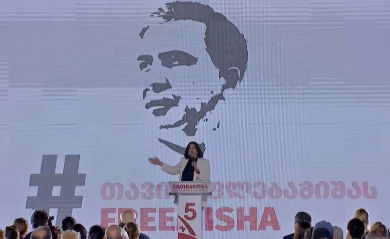 საქართველოს ტერიტორიული მთლიანობის გარანტი სწორედ ევროპა და ევროკავშირია - კორძაია 