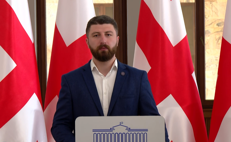 პრეზიდენტის ქარტია "ოცნების" სამიზნე ხდება