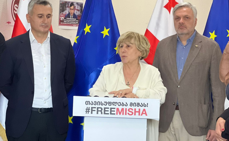 "ე.წ ხელისუფლება სახელმწიფოებრიობას ემუქრება" - გიული ალასანია
