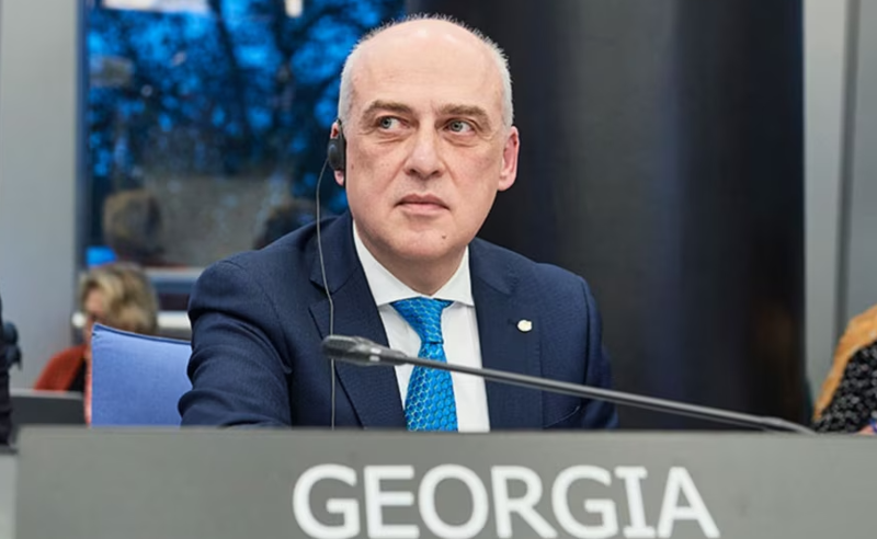 ზალკალიანი ამბობს, რომ კობახიძისთვის მიწვევის გაუქმებაზე ამერიკელ მეგობრებთან "გულწრფელი საუბარი" ექნება