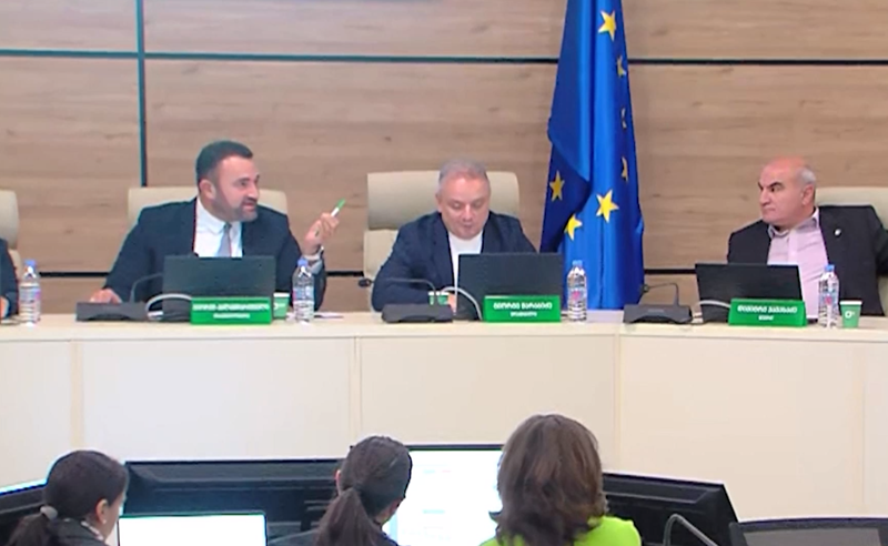 ხმაური და დაპირისპირება ცესკოს სხდომაზე - რა ბედი ელის ემიგრანტების ხმებს?