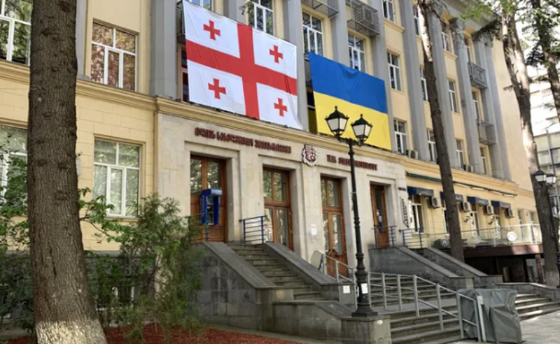 "მოგვანიჭეს ავტორიზაცია ერთი წლის თავზე მონიტორინგის პირობით" - ილიას უნივერსიტეტი გადაწყვეტილებას სააპელაციოში გაასაჩივრებს