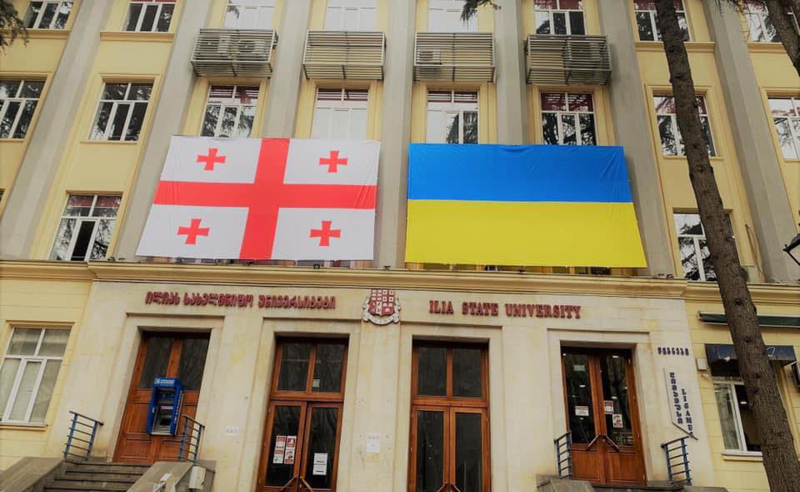 ავტორიზაცია დროებით და დათქმით - სჯის თუ არა ხელისუფლება ილიას უნივერსიტეტს? 
