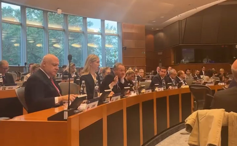 "გმადლობთ საქართველოს მეგობრობისთვის" - თინა ბოკუჩავას სიტყვა ბრიუსელში