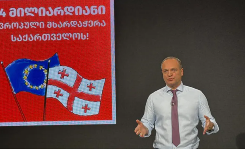  ქვეყნიდან გასულ მოქალაქეებს დაბრუნების მოტივაცია უნდა ჰქონდეთ - პეტრე ცისკარიშვილი