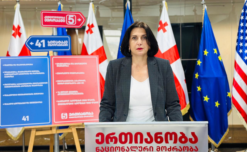 დევნილებს არჩევნებში მონაწილეობის საშუალება პასპორტის საფუძველზე უნდა მიეცეთ - კორძაია ცესკოს მიმართავს