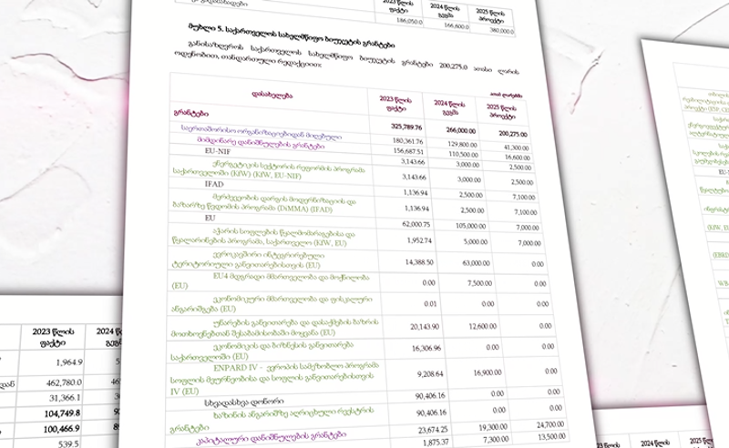 უცხოური გრანტები 61%-ით შემცირდა - ოპოზიცია "ოცნების" პასუხისმგებლობაზე საუბრობს