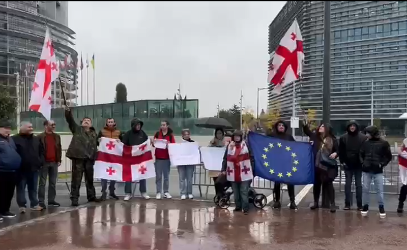 ქართველი ემიგრანტები, საარჩევნო უბნების გახსნის მოთხოვნით, ევროპარლამენტთან აქციას მართავენ