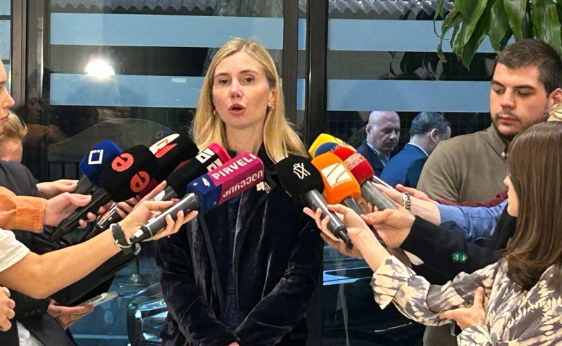 მიგვაჩნია, რომ პრეზიდენტის როლი არის ძალიან მნიშვნელოვანი და მივესალმებით, რომ მან უკვე წინმსწრები ნაბიჯები გადადგა- თინა ბოკუჩავა