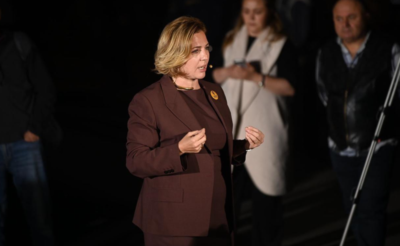 გერმანია ცალსახად ეუბნება "ოცნებას, რომ მათ პირობებში ევროპის კარი დაკეტილია - დოლიძე